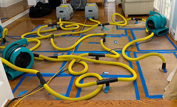 Professional Basement Flood Cleanup technician working in Lancaster, SC